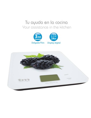 Filtros Permanentes para Café Cafetera Reutilizable Acero Inoxidable con  Doble Malla en Forma Cono Hogar y cocina Filtros de café  futakuchi-hakata.com